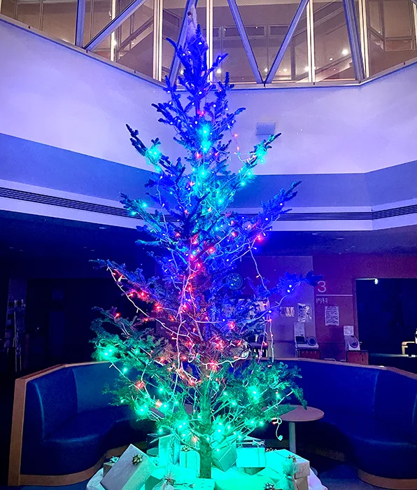 クリスマスツリー