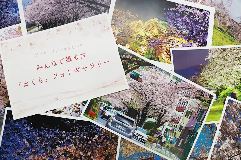 みんなで集めた「さくら」フォトギャラリー
