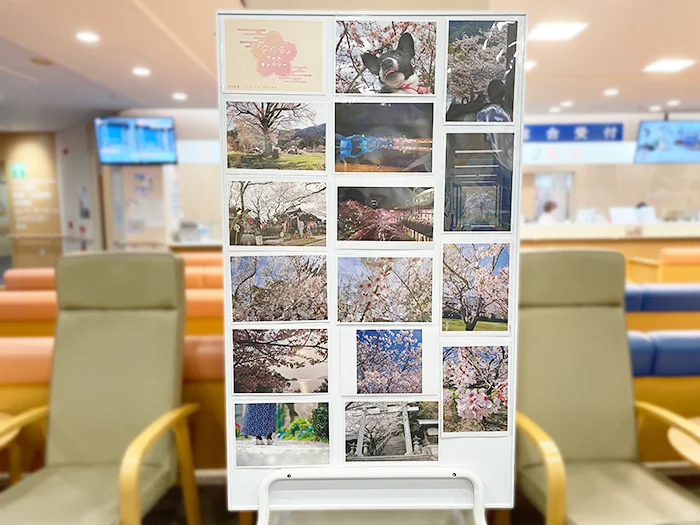 さくらフォトギャラリー