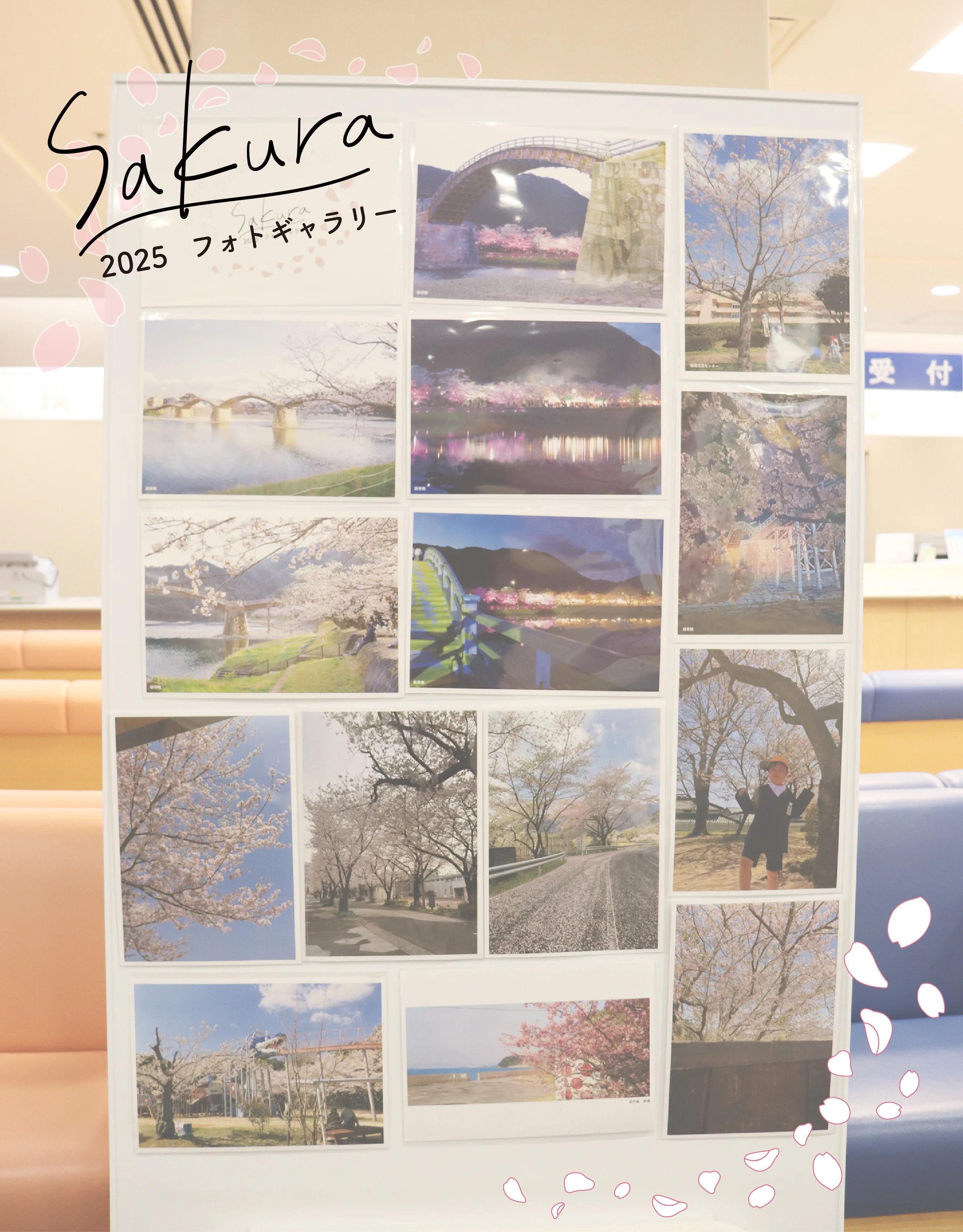 フォトギャラリー