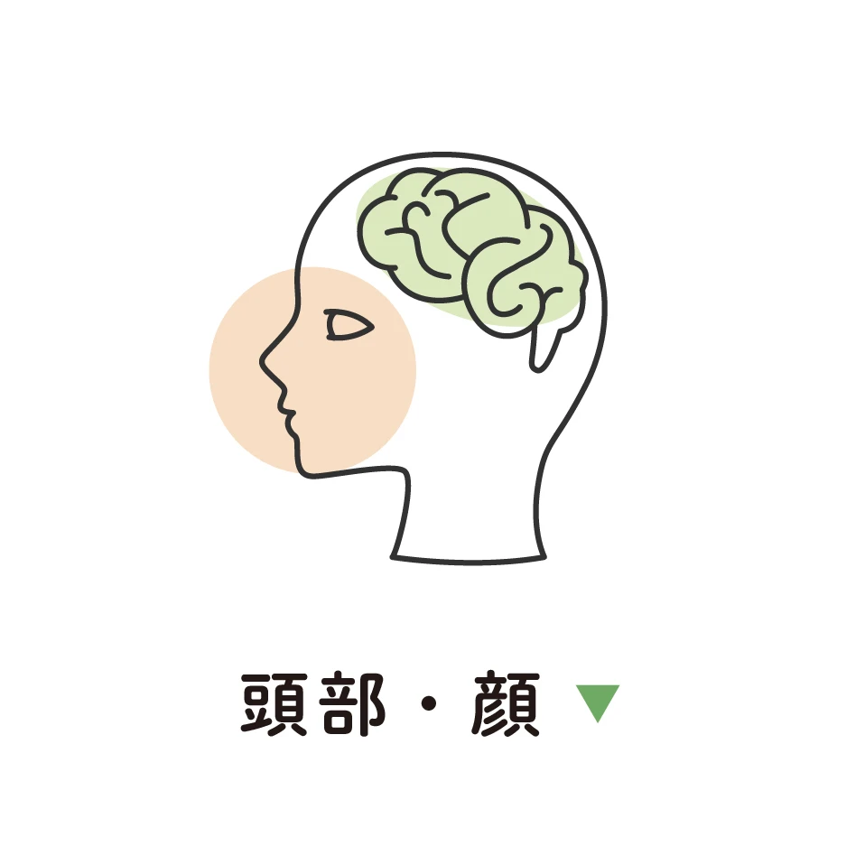 頭部・顔